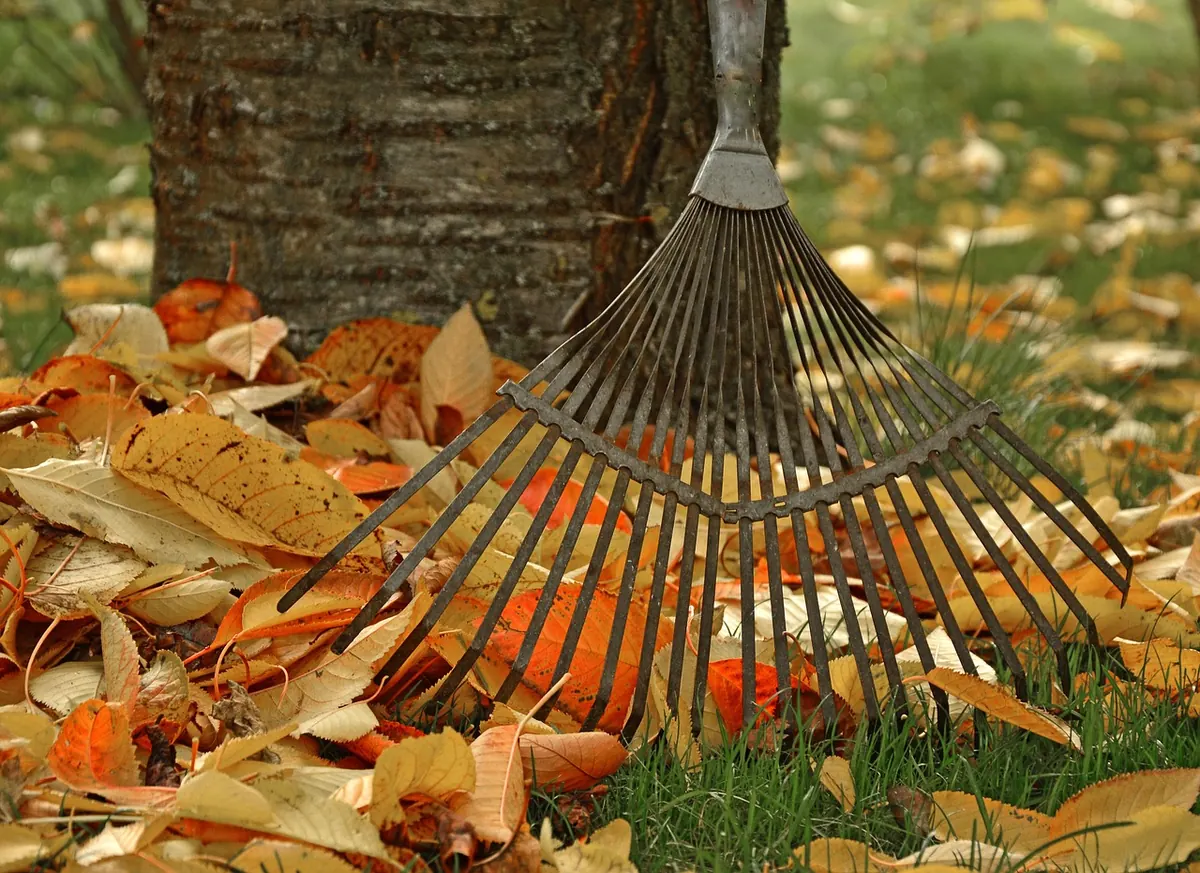 Autumn Checklist: 10 Seasonal Chores for a Country Cottage Garden